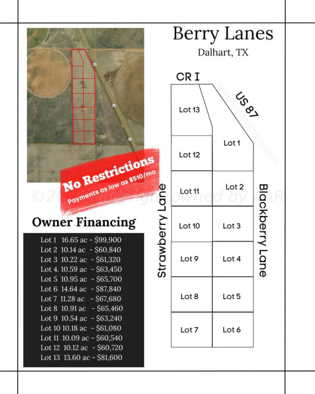 TRACTS 1- 13 BLACKBERRY & STRAWBERRY LANE, DALHART, TX 79022, photo 1 of 5