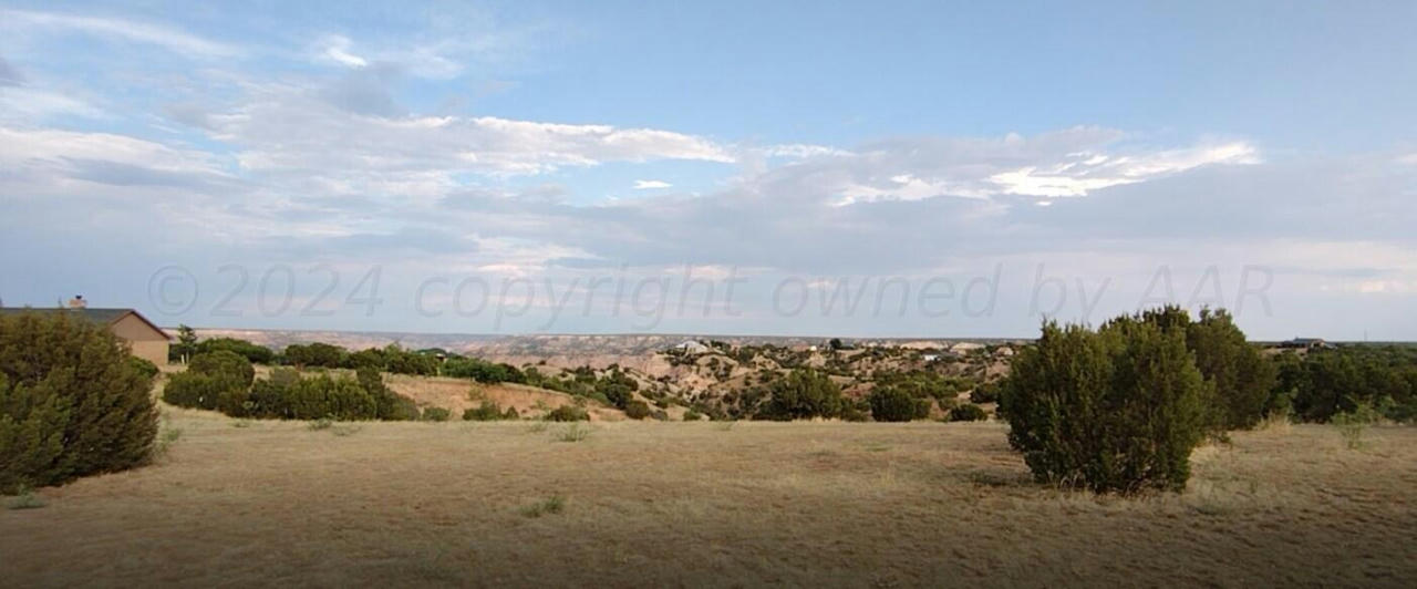 10500 INDIAN CAMP TRL, CANYON, TX 79015, photo 1 of 14