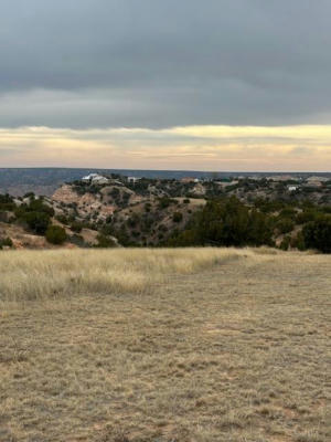 10450 INDIAN CAMP TRL, CANYON, TX 79015, photo 3 of 15