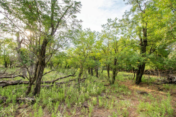 WATERS HUNTING RANCH, MOBEETIE, TX 79061 - Image 1